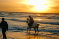 Glimpses of Joy • لمحات من الفرح