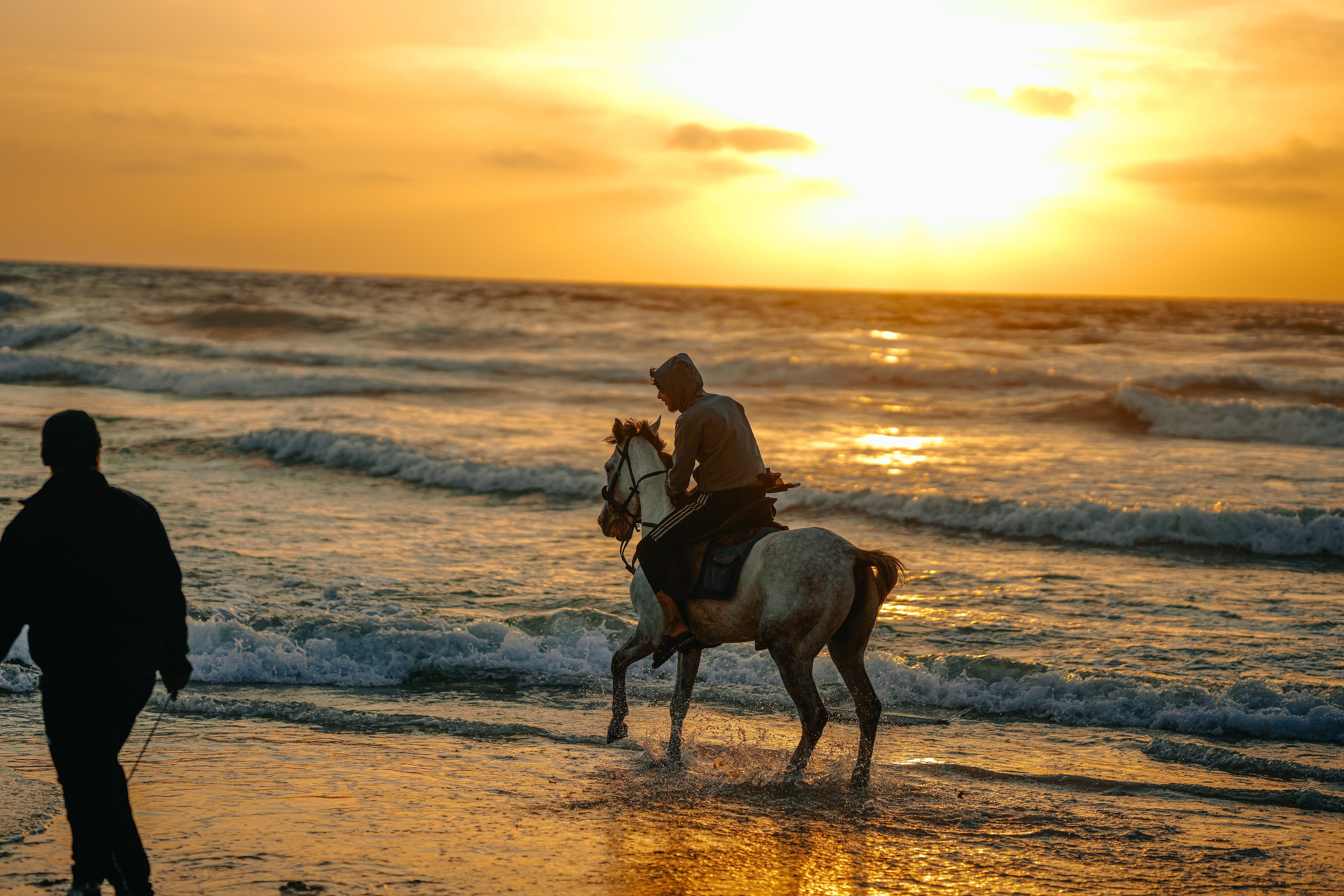 Glimpses of Joy • لمحات من الفرح