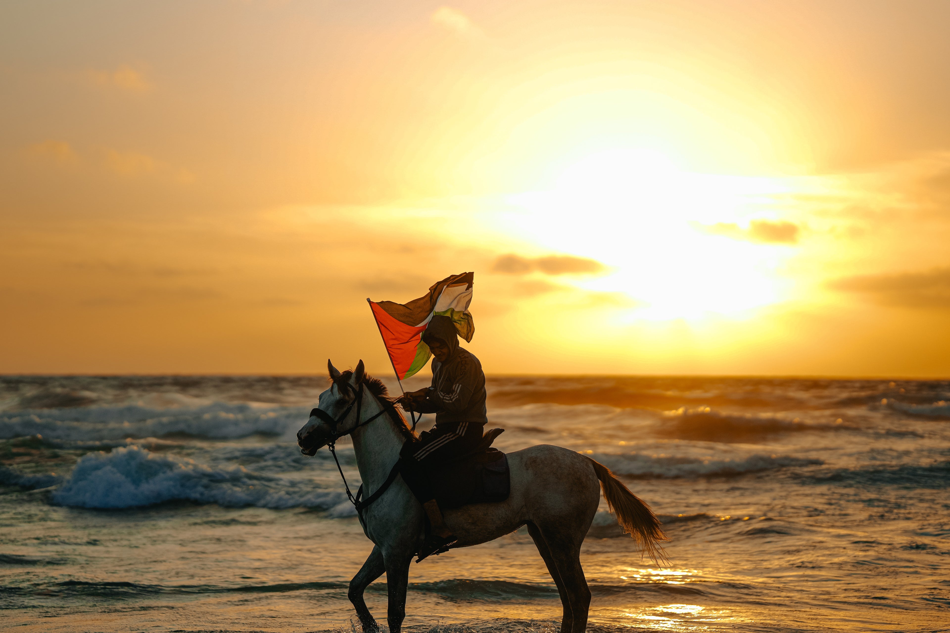 Child of the Land • ابن الأرض