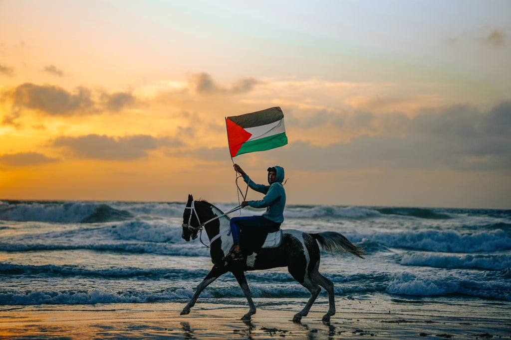 My Homeland • موطني