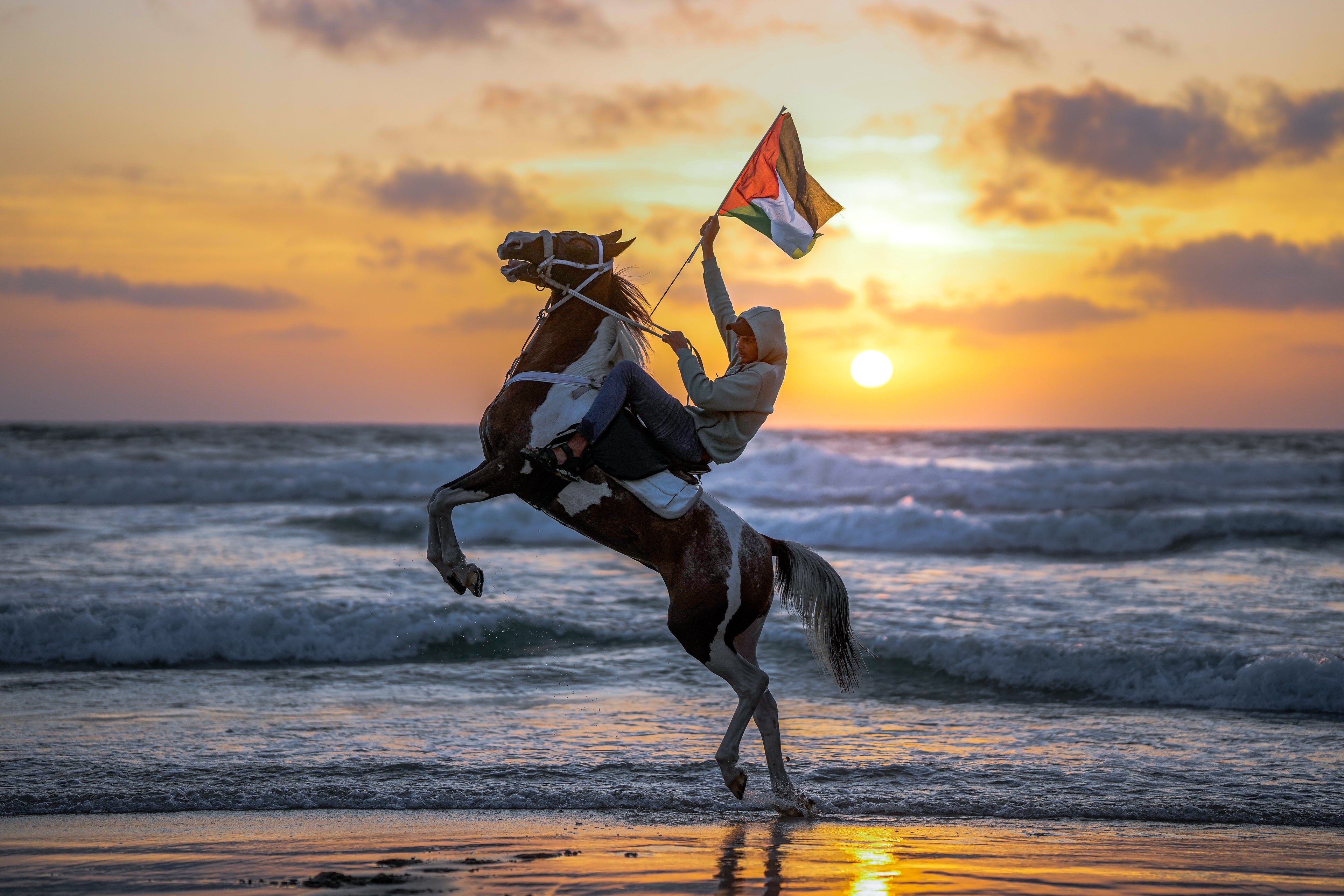 Palestine, Still • فلسطين باقية
