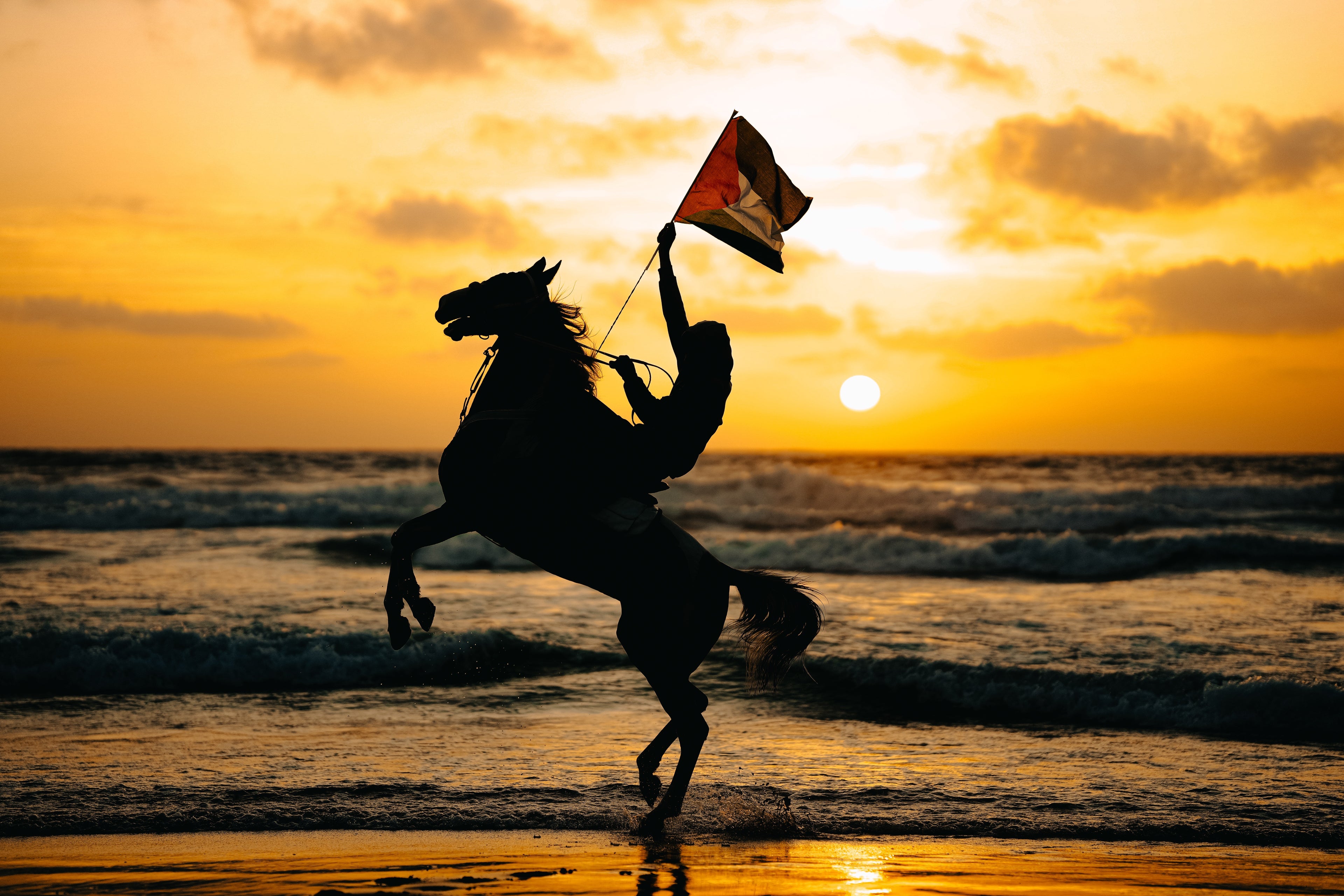 Palestine, Always • فلسطين دائمًا