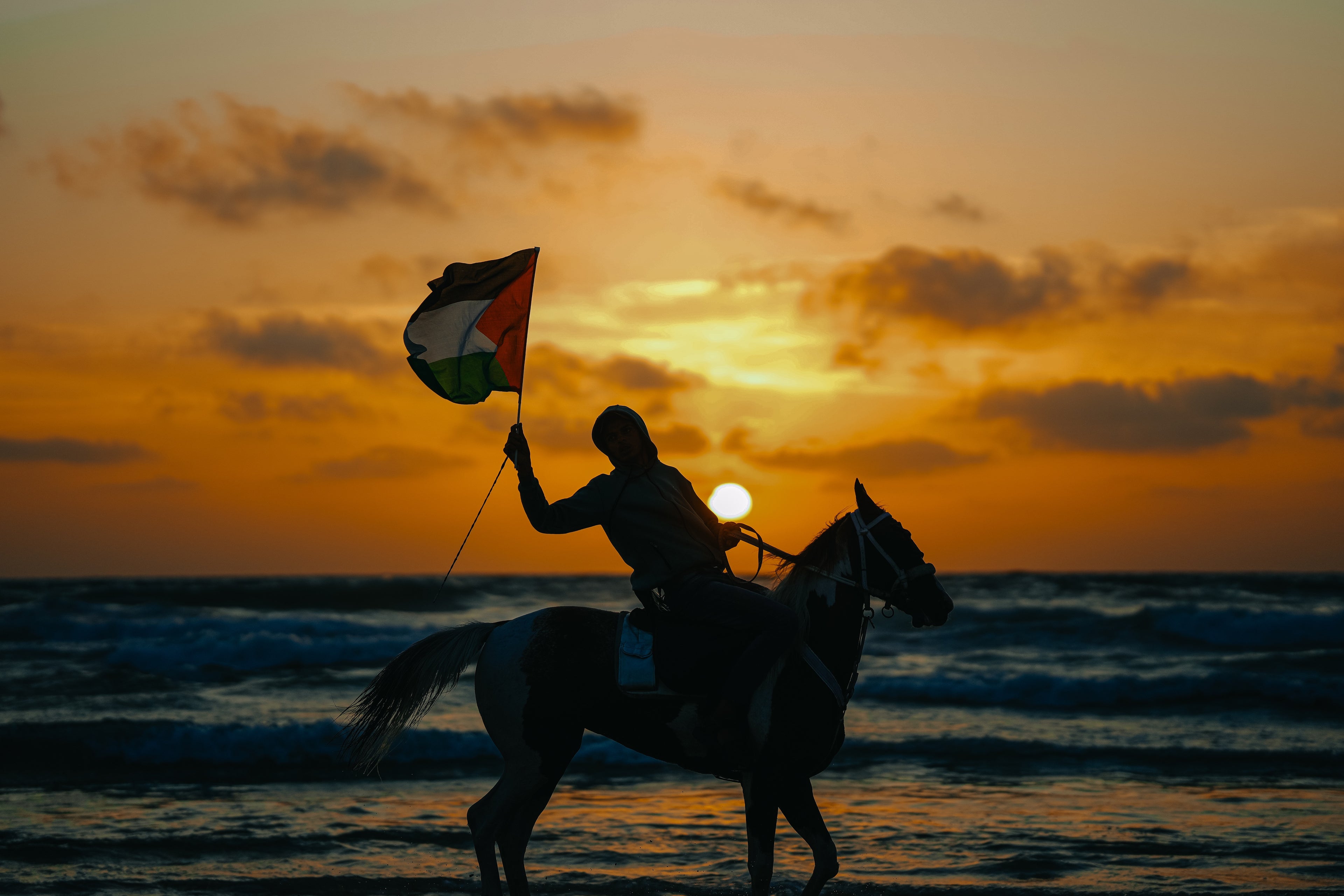 We Are Still Here • ما زلنا هنا