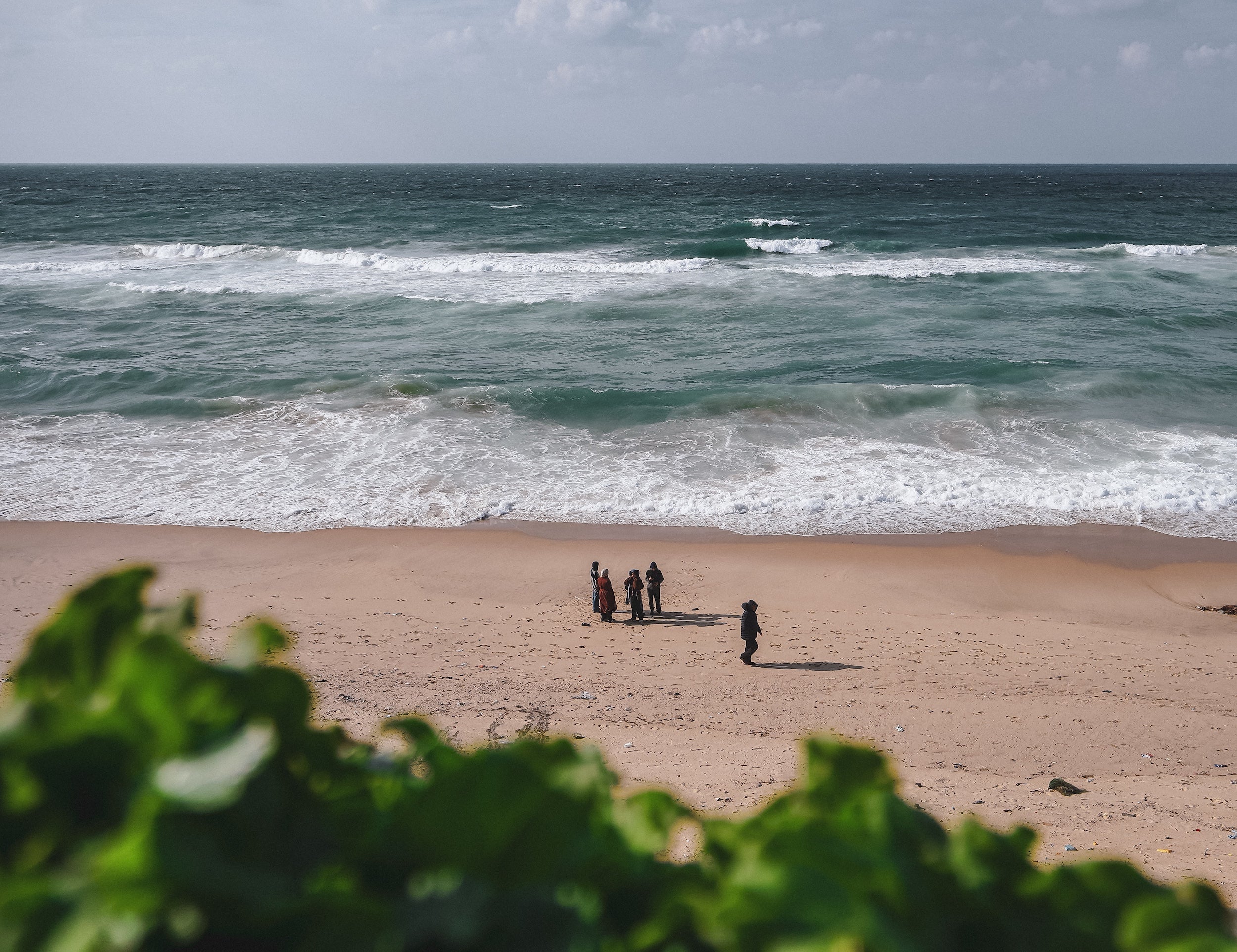Freedom in Every Wave That Comes, Hope in Every Wave That Goes • الحرية في كل موجةٍ تأتي، والأمل في كل موجةٍ ترحل