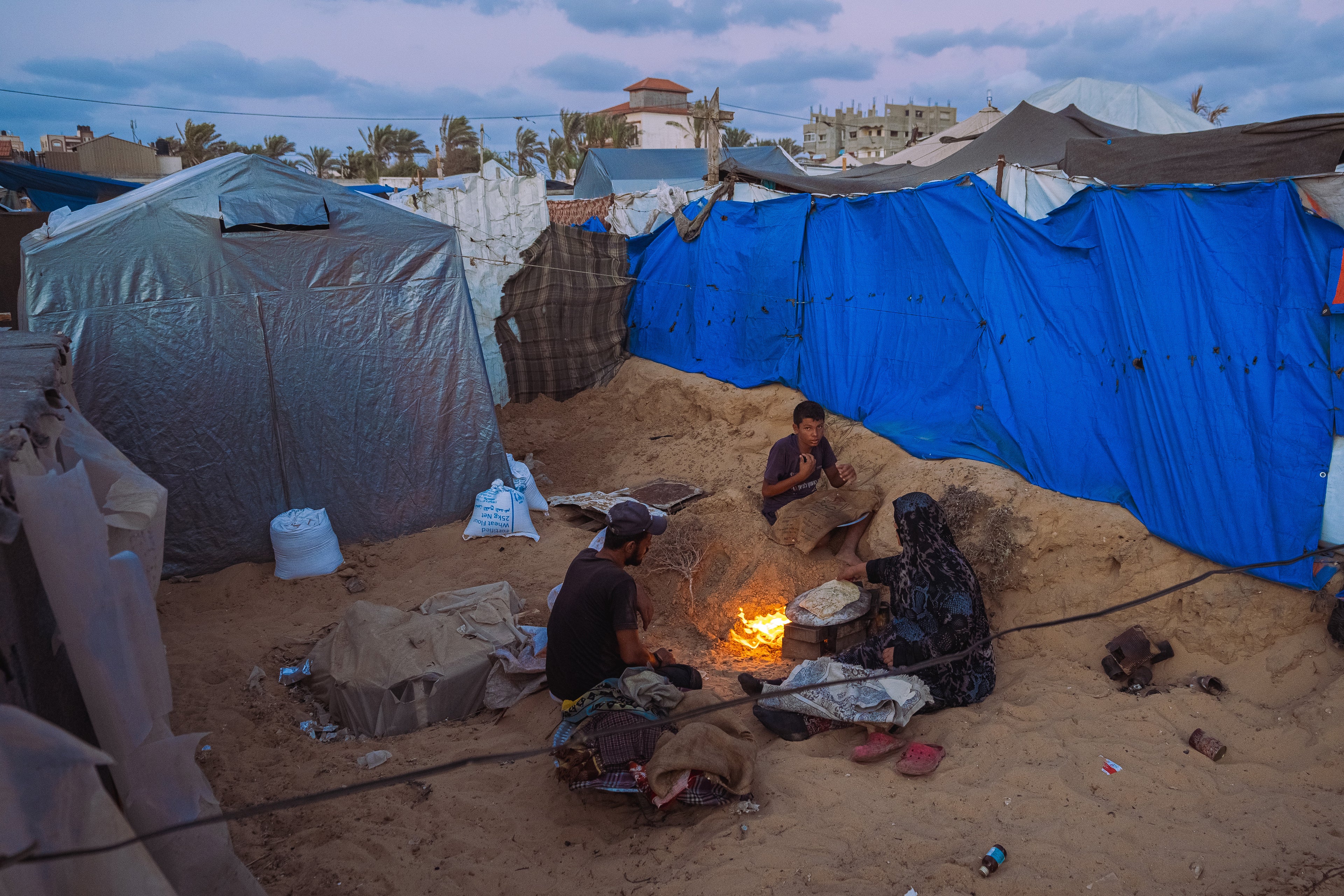Survival • البقاء