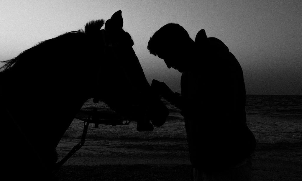 In Silence They Meet • في الصمت بيتلاقوا